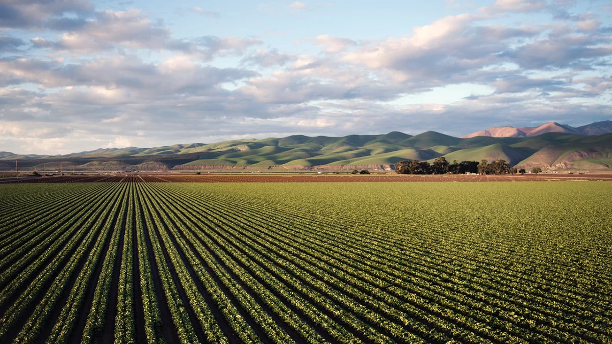 WINTER SCHOOL NETVAL “Il trasferimento tecnologico in ambito agri-food. Innovazione dalla ricerca e dalla sperimentazione”
